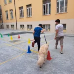 Galleria fotografica prima settimana "Scuola Aperta"